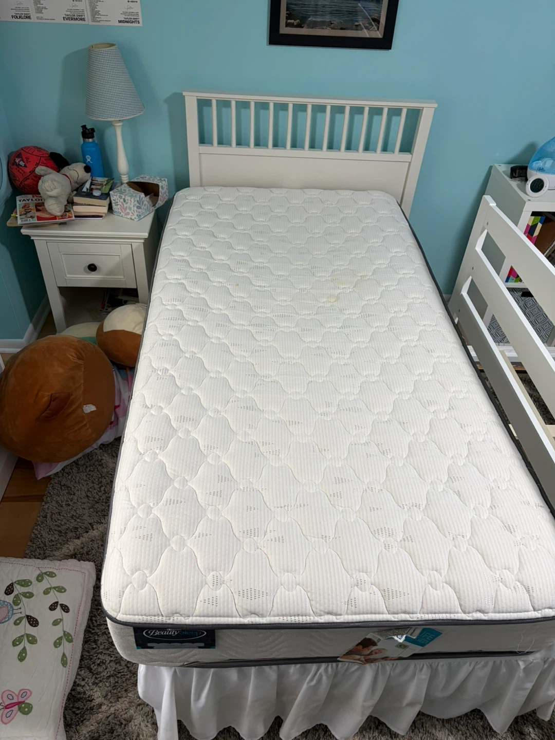 BeautySleep East Lake Firm Mattress