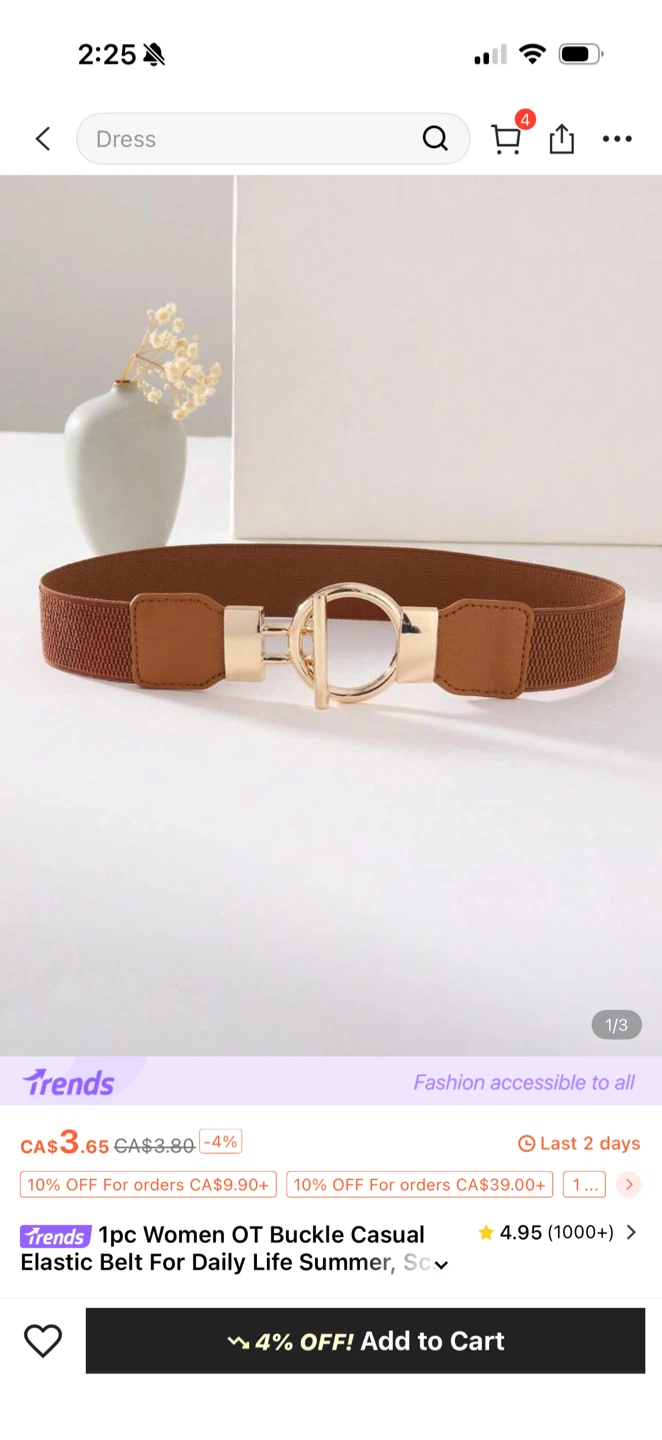 Women's Elastic Buckle Belt, Brown