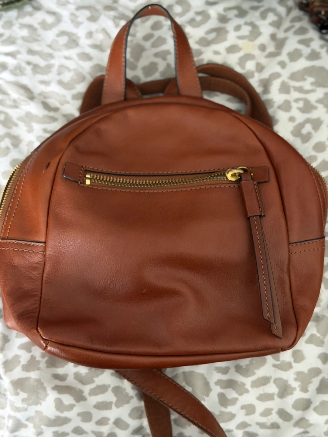 Fossil Brown Leather Backpack