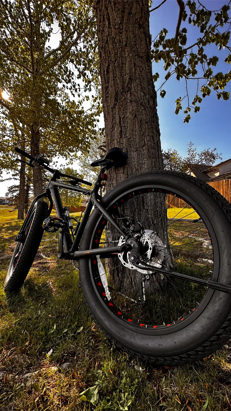 Fat Tire Bike - Black - photo 2