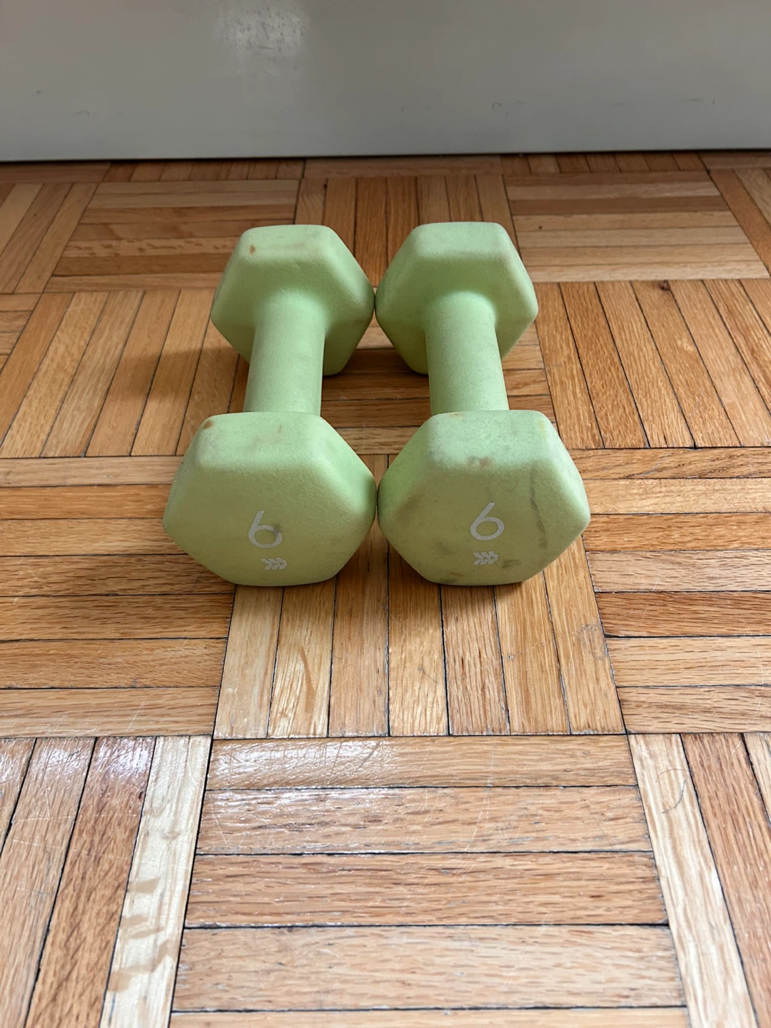 Used - Pair of Dumbbells - All in Motion™
