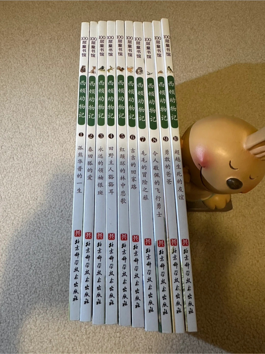 Children’s Book Sets – Chinese Edition 📚 (Great Condition) - photo 4
