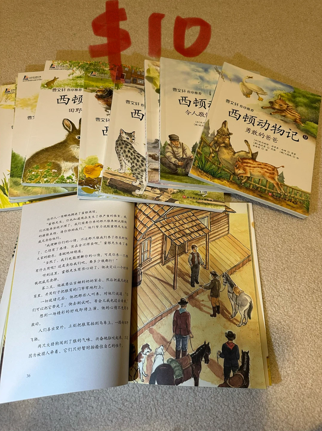 Children’s Book Sets – Chinese Edition 📚 (Great Condition) - photo 3