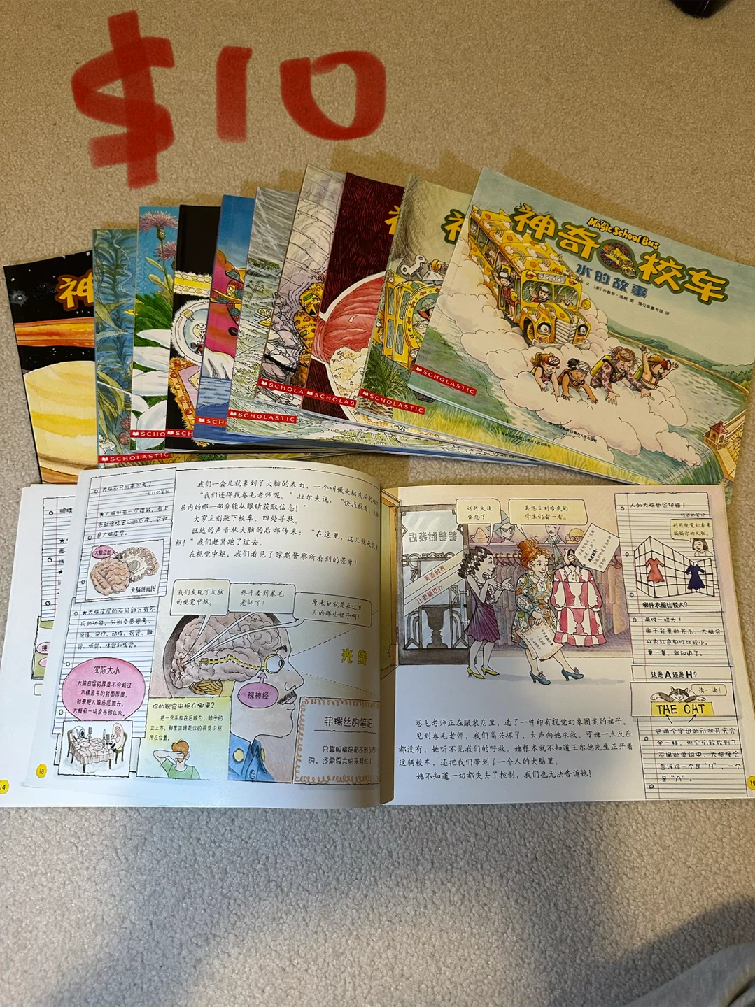 Children’s Book Sets – Chinese Edition 📚 (Great Condition)