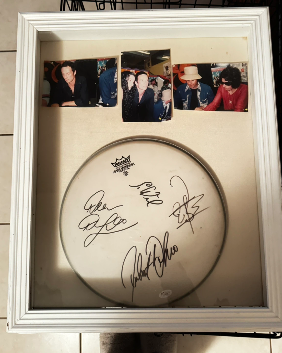 Framed Autographed Stone Temple Pilots Drumhead