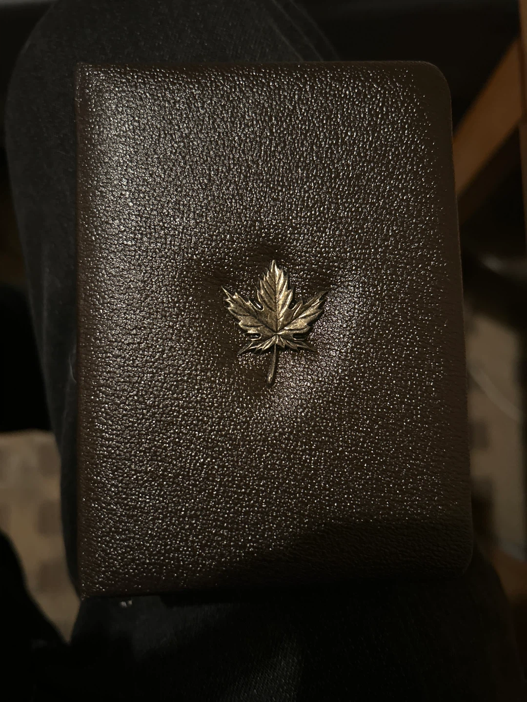 1980 Canadian $100 22 Karat Gold Proof Coin - photo 4