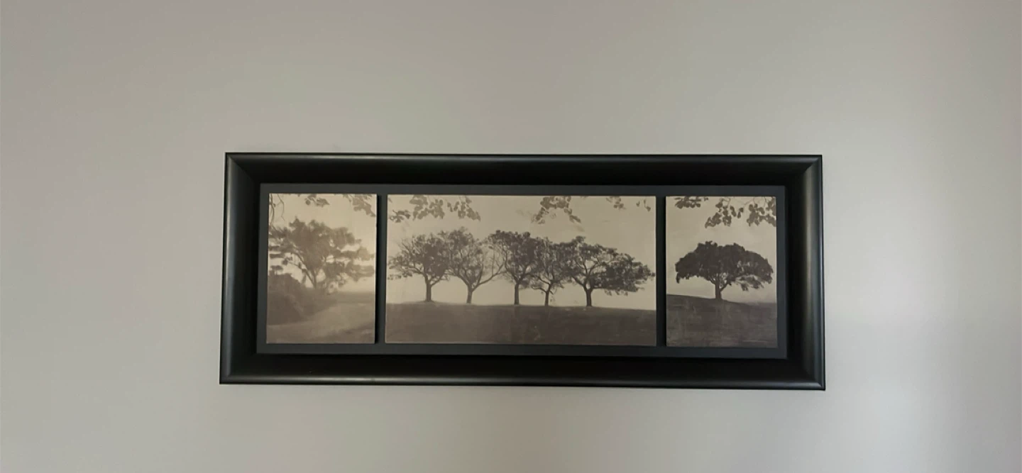 Beautiful picture with wood frame