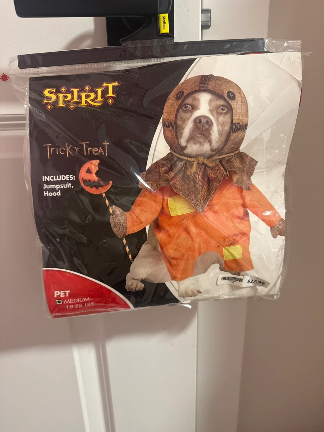 Spirit Trick or Treat Pet Costume - Medium