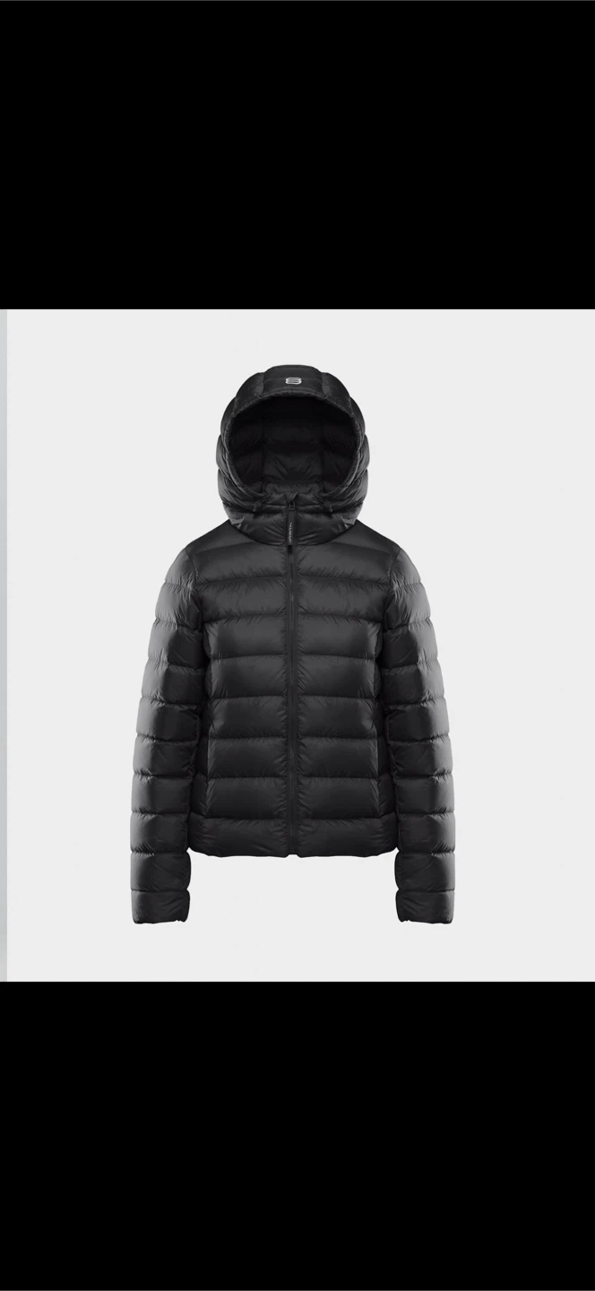 Aritzia Puffer Jacket