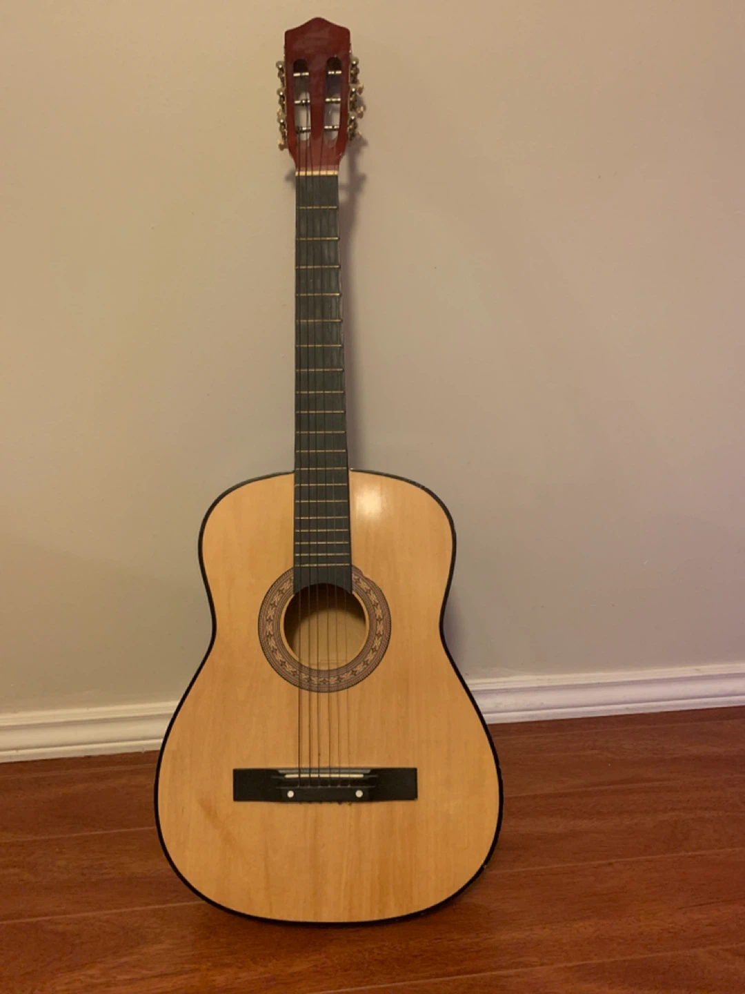 Acoustic Guitar