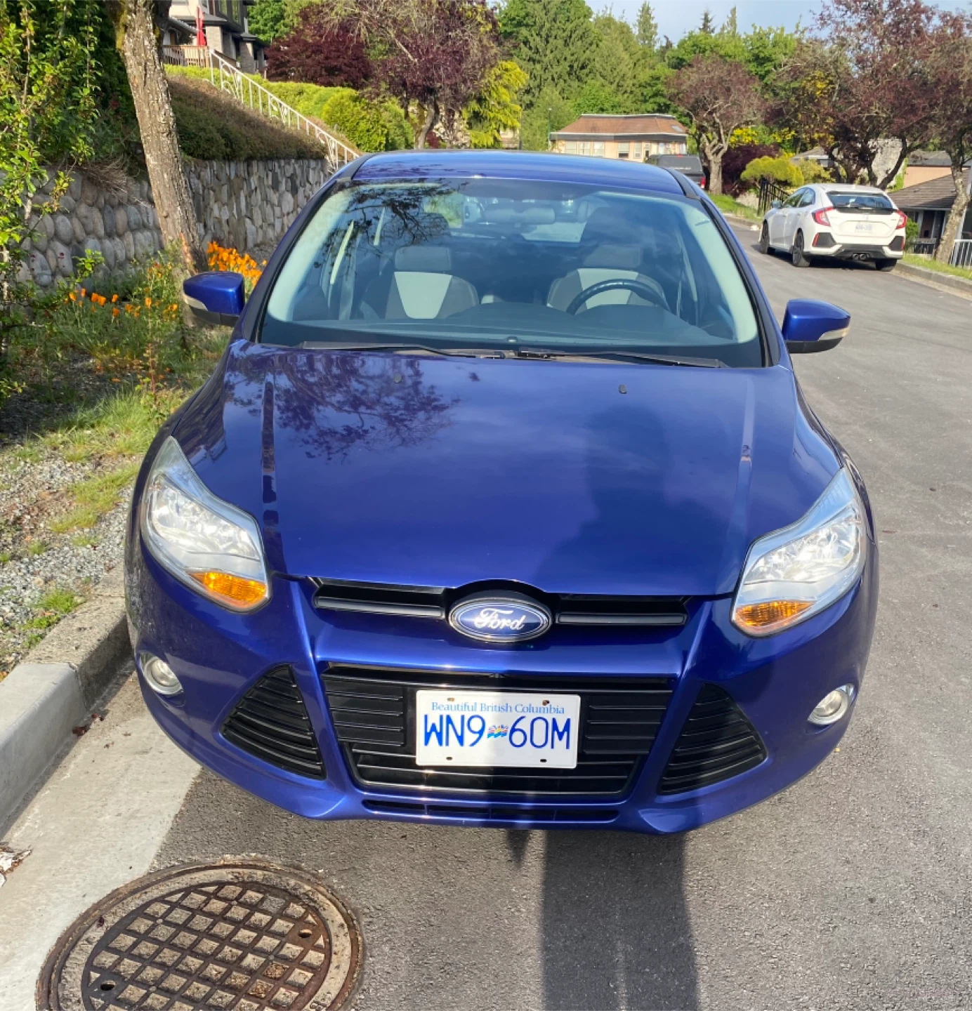 Ford Focus SE 2012 Car