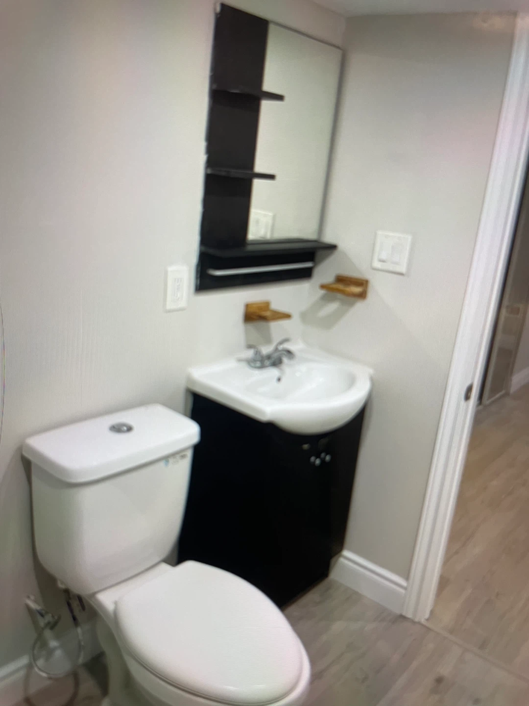 New Basement for rent immediately in East Brampton - photo 3