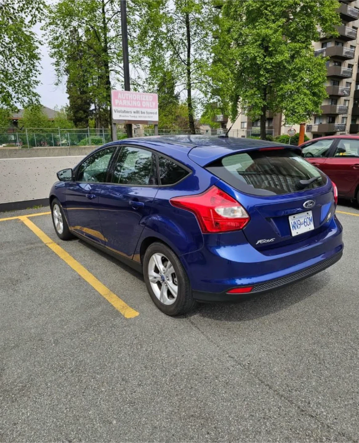 Ford Focus SE 2012 Car - photo 2