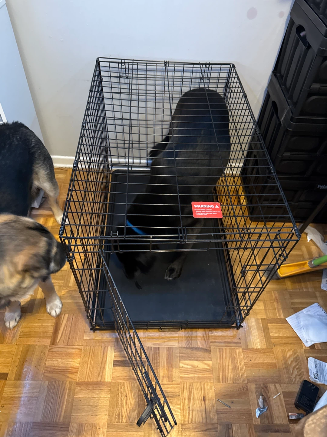 Dog Crate