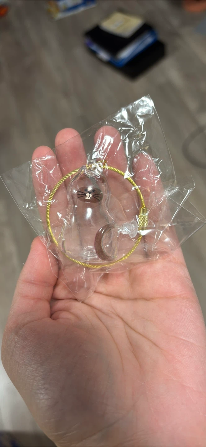 Transparent cat hair key chain