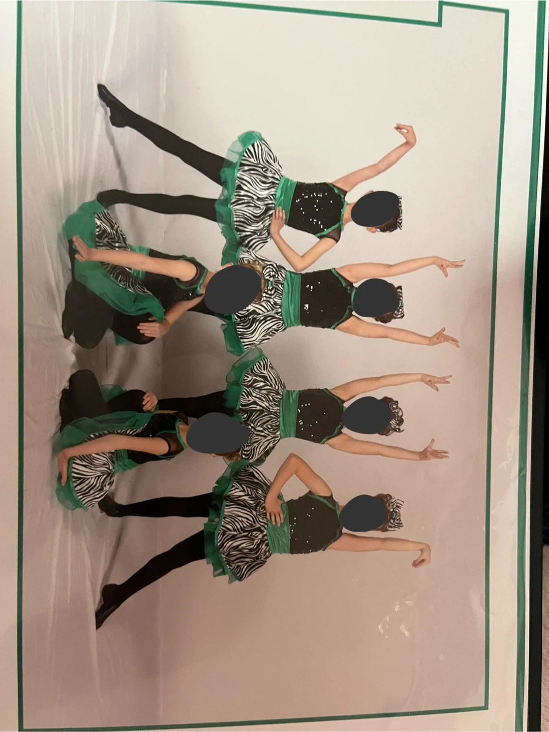 Black and green zebra dance costume - photo 3