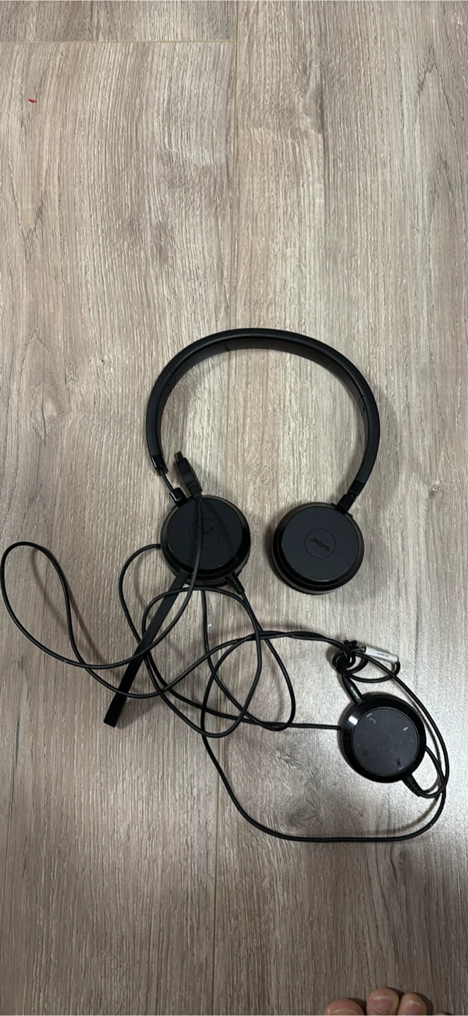 Jabra Evolve 20 Headset