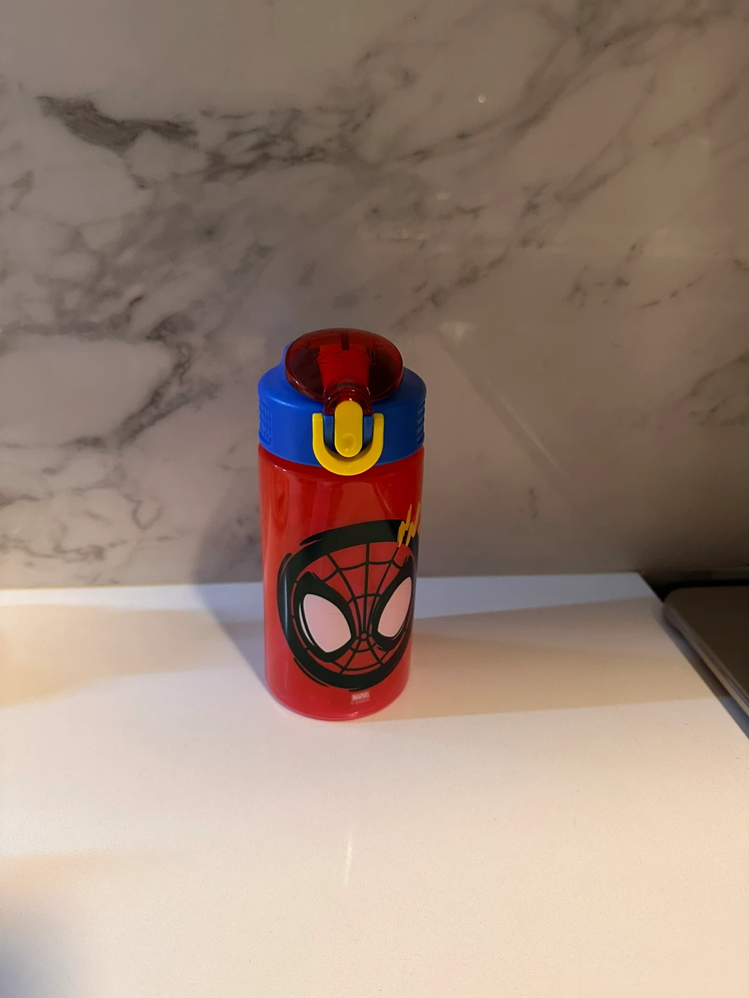 Marvel Spiderman Water Bottle - 16 oz