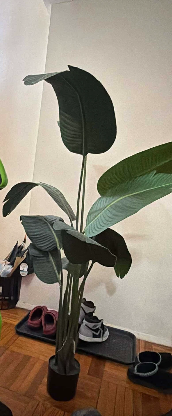 Bagari 5 Foot Artificial Bird of Paradise Palm Tree - photo 2