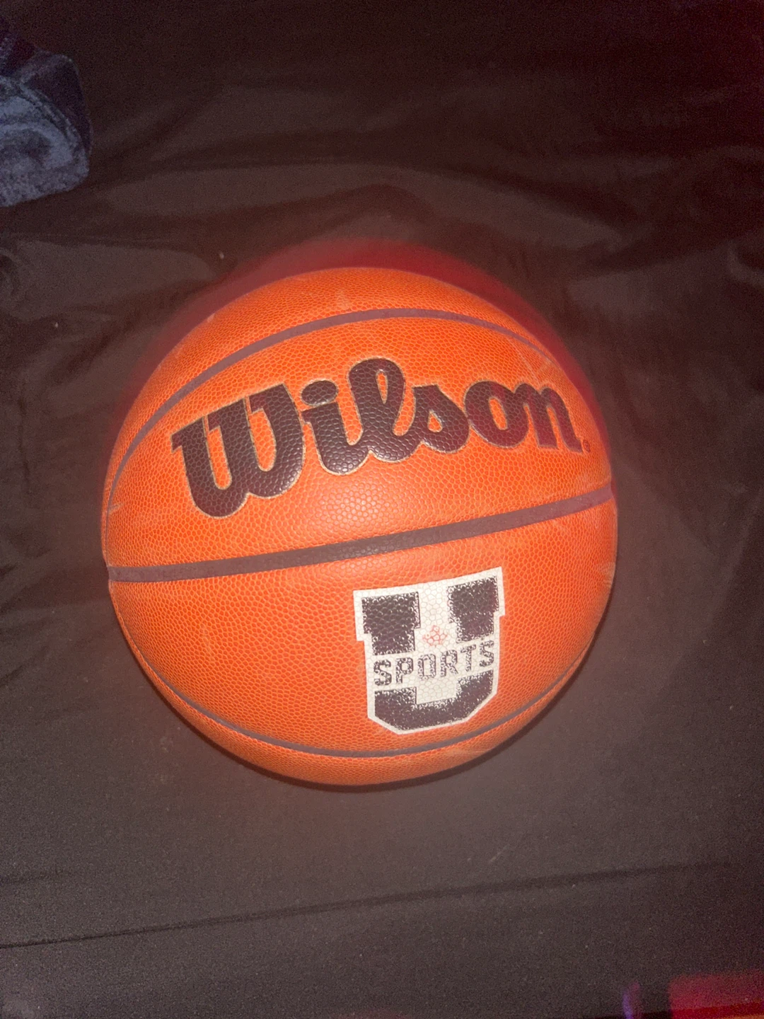Wilson Evolution Basketball - photo 2