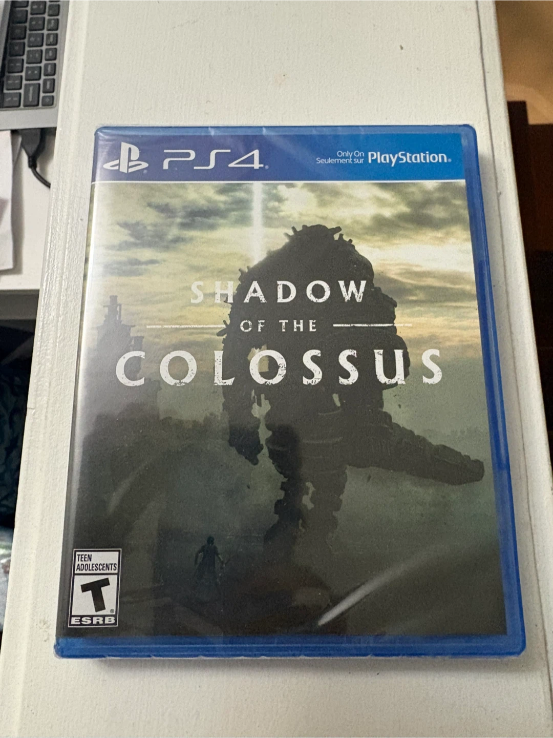 Shadow of the Colossus PS4 Game