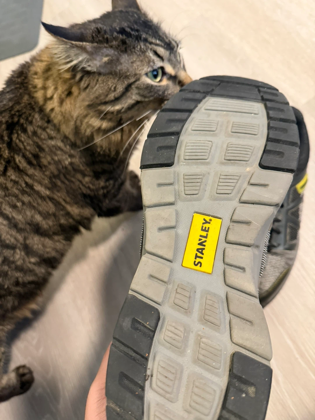 Stanley Safety Work Shoes - photo 4