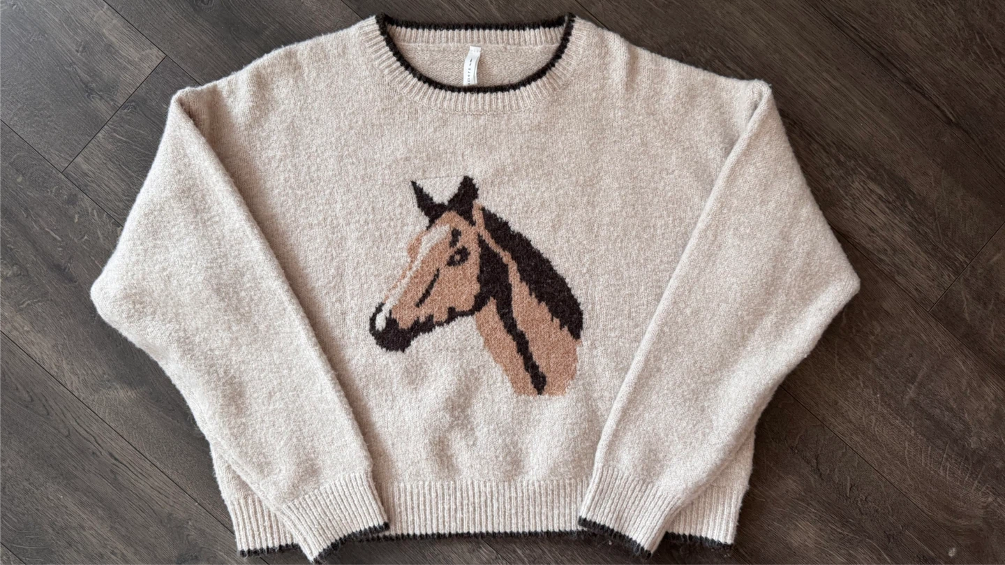 Dreamers by Debut Horse Sweater - Size Small