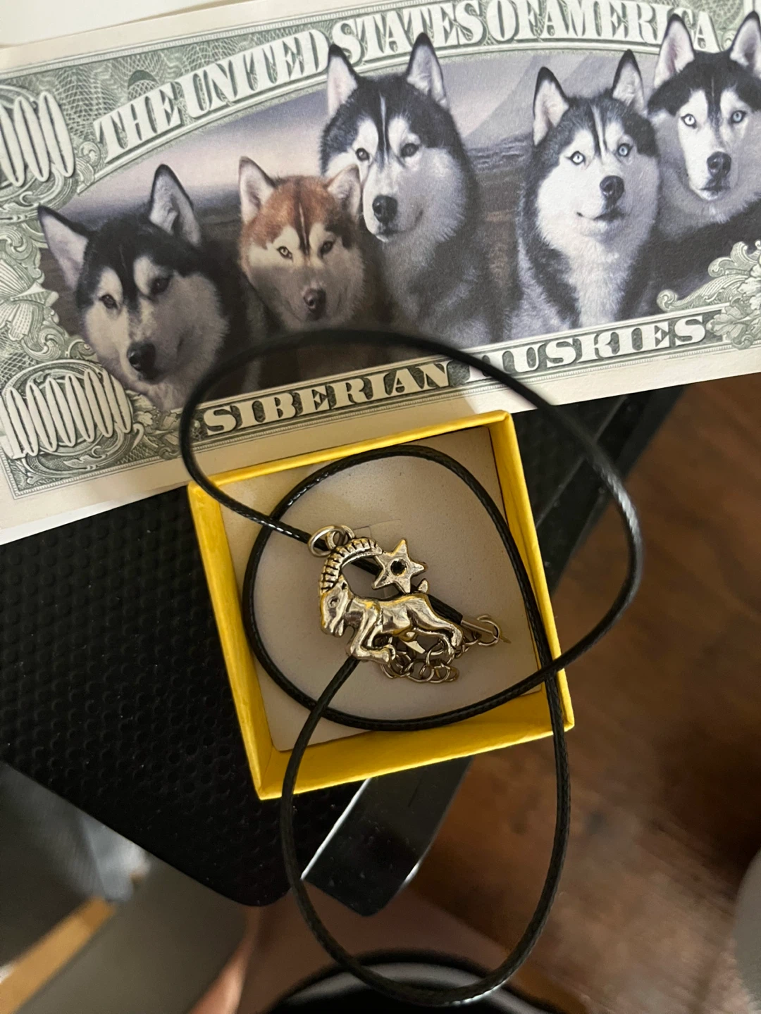 Capricorn Zodiac Necklace
