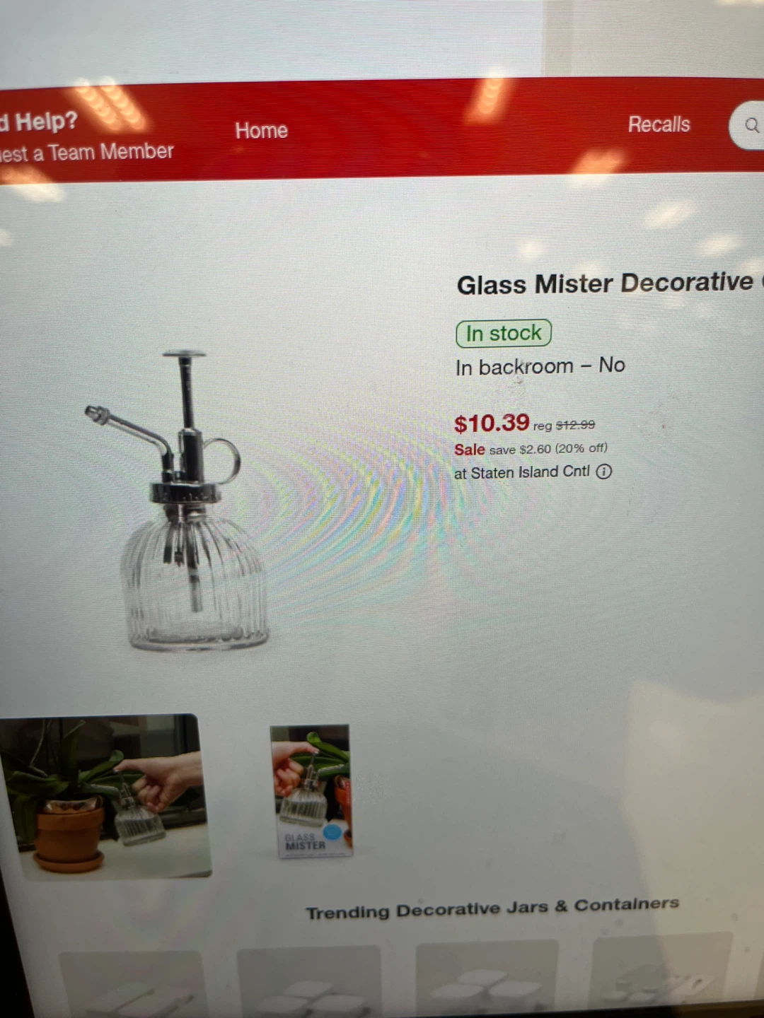 Glass Plant Mister - photo 2