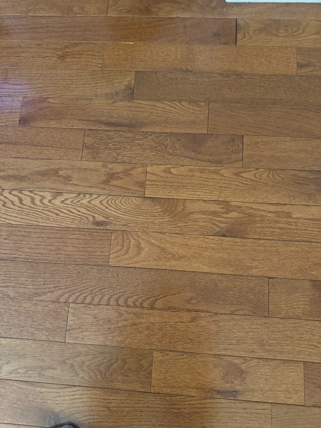 MAY Gunstock Oak 3/4" x 3 1/4" Hardwood Flooring