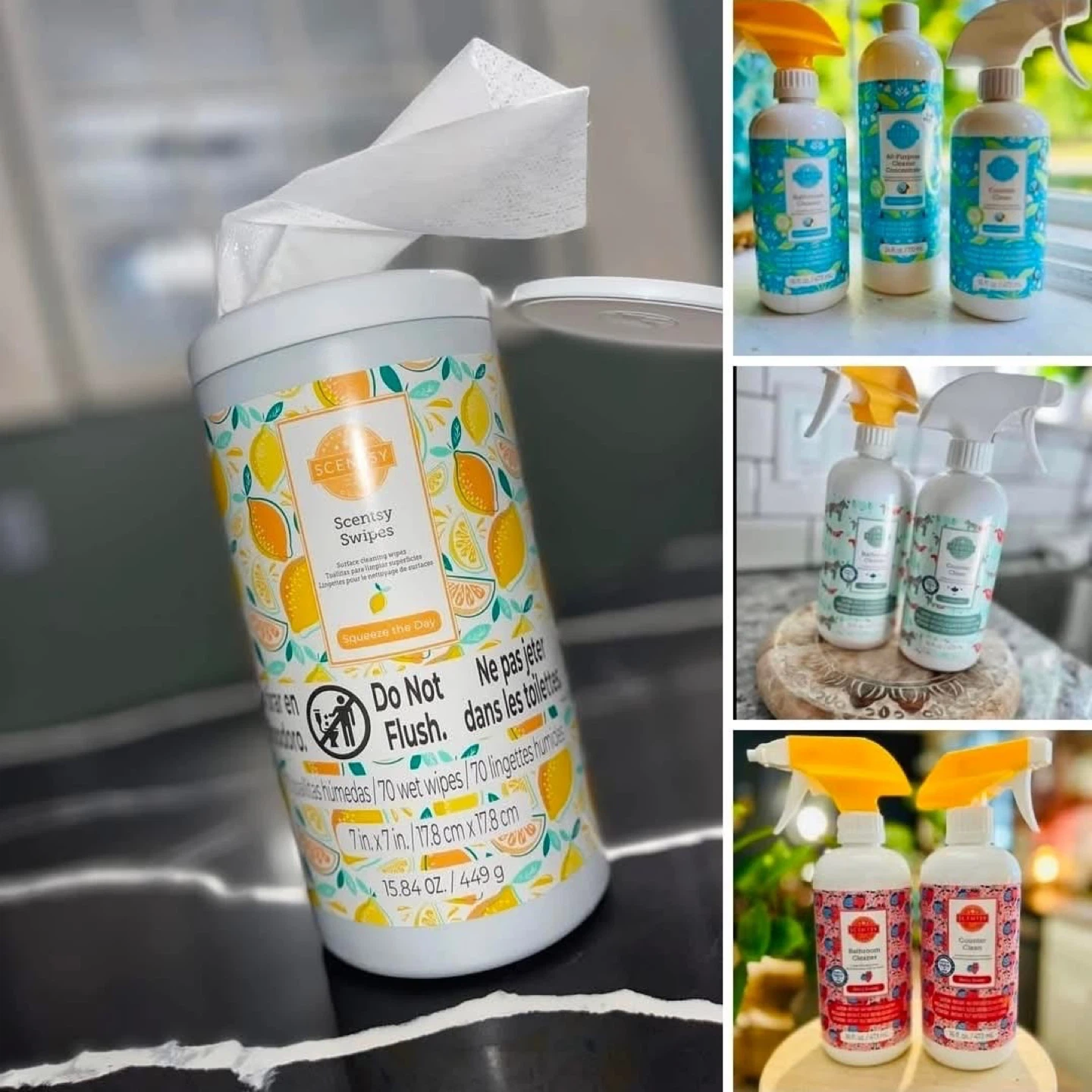 Scentsy Cleaning Products!