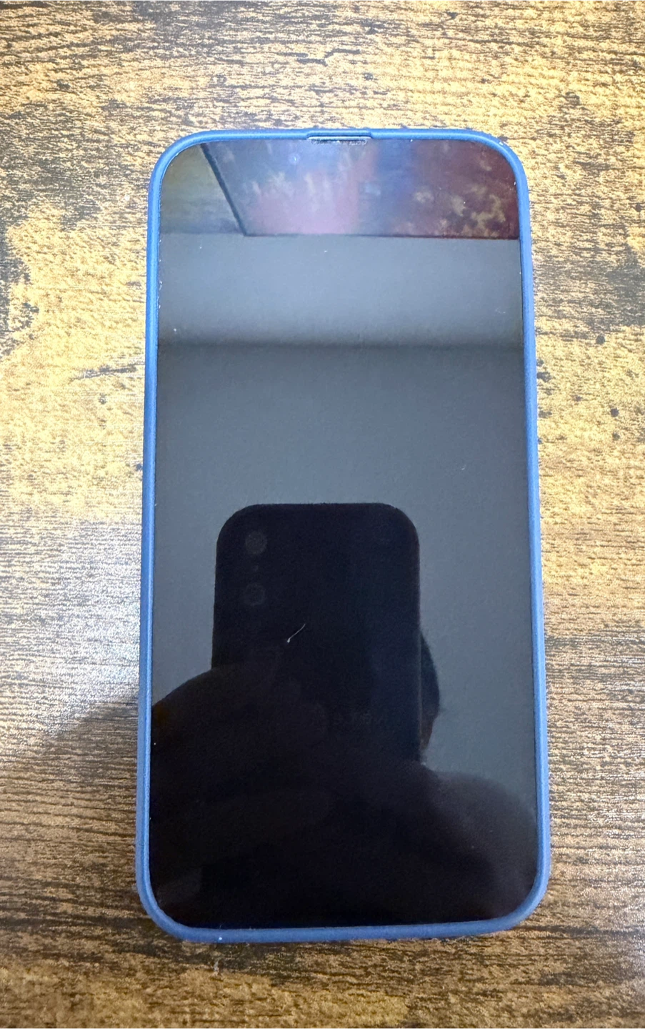 iPhone 13 Pro Max Sierra blue colour - photo 5