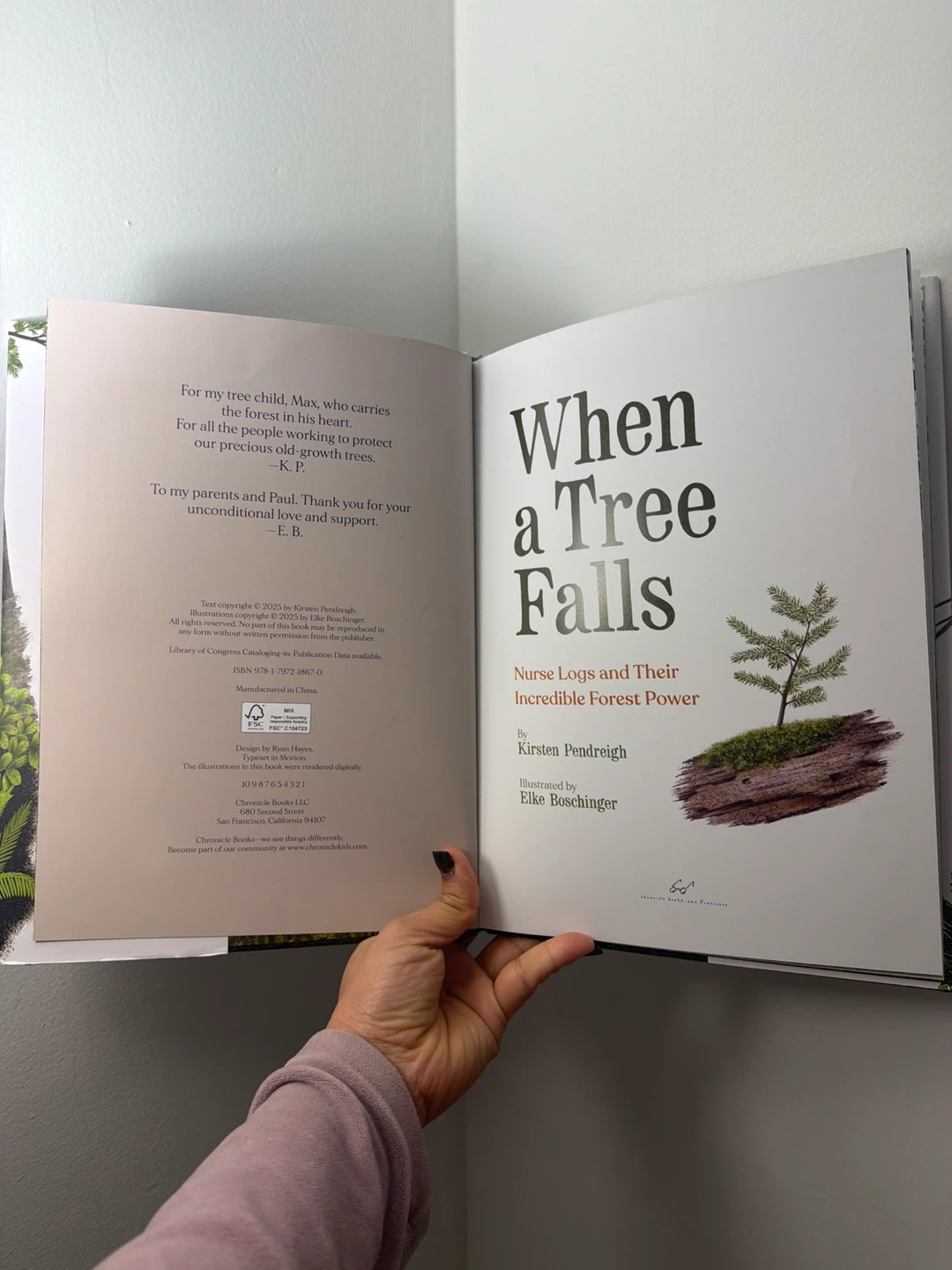 When a Tree Falls by Kirsten Pendreigh - photo 3