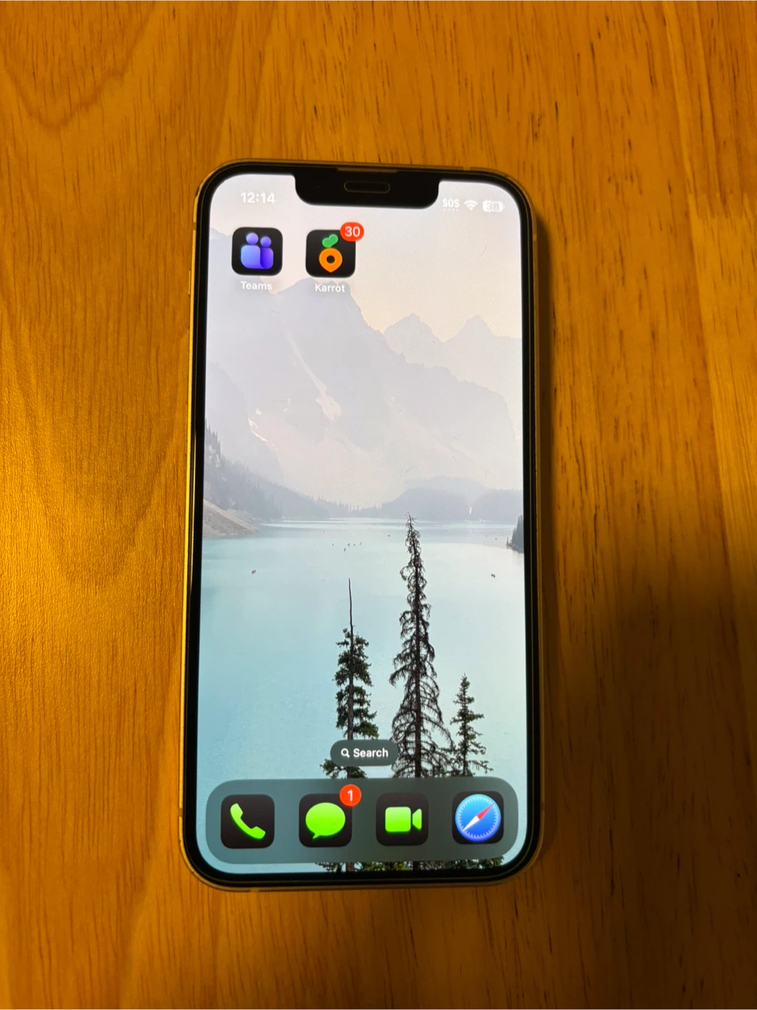 Apple iPhone 13 Mini - photo 3