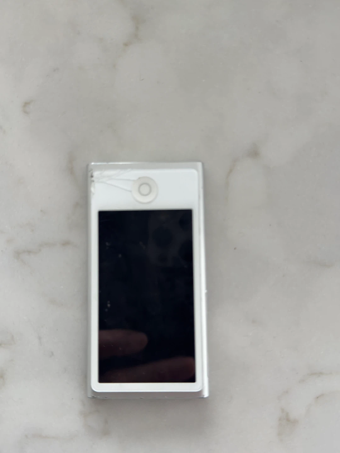 Apple iPod