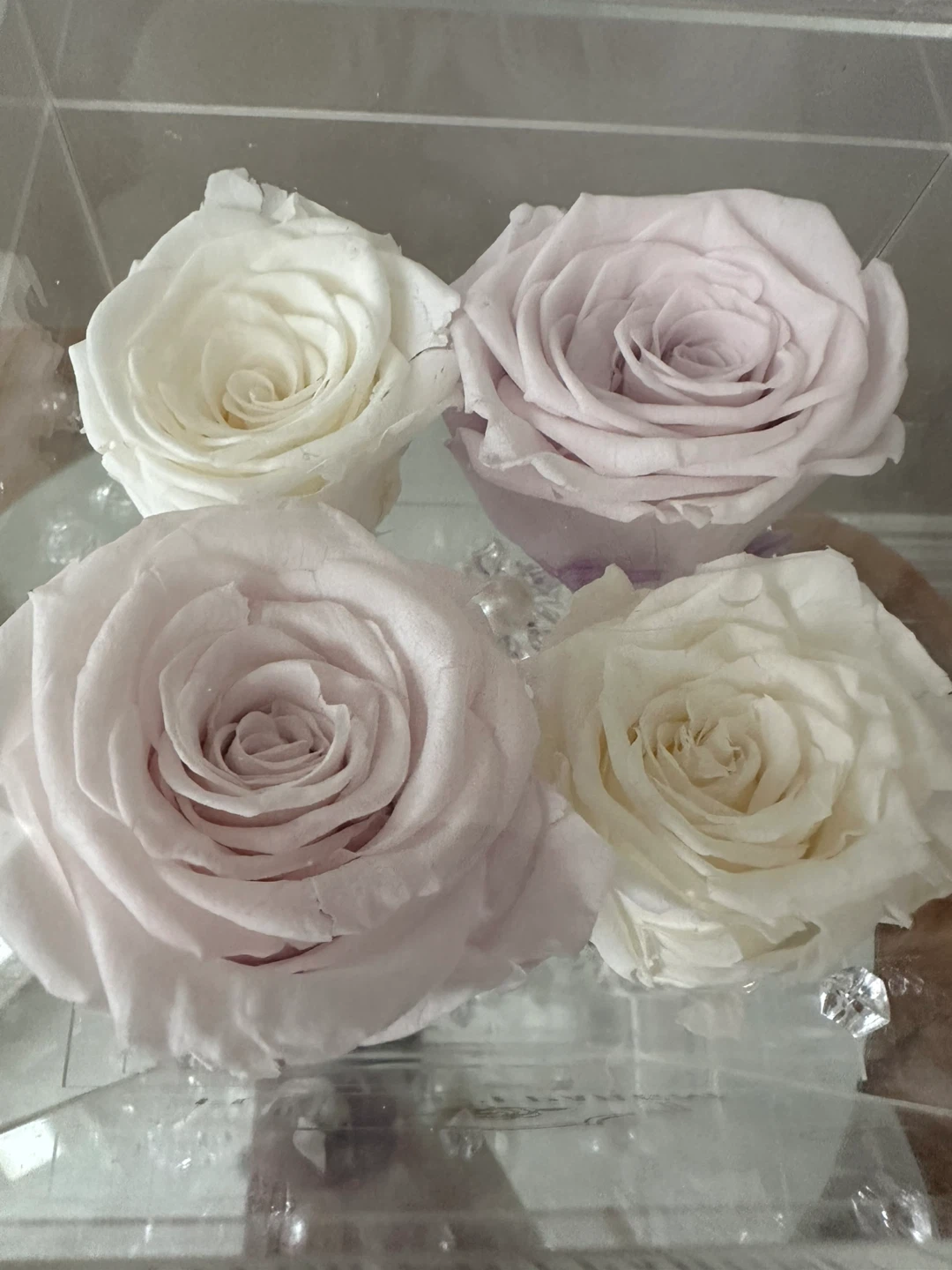 Fleurs d'Épargne Preserved Roses in Acrylic Box - photo 2