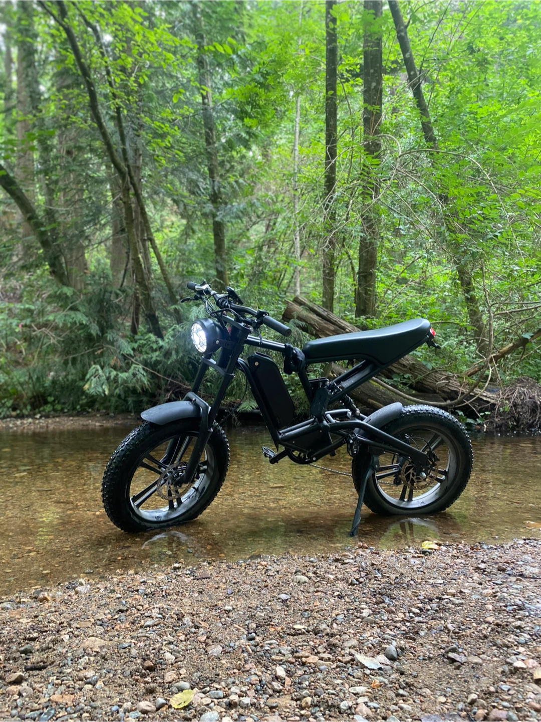 Street E-Bike (Windone E2) - photo 3