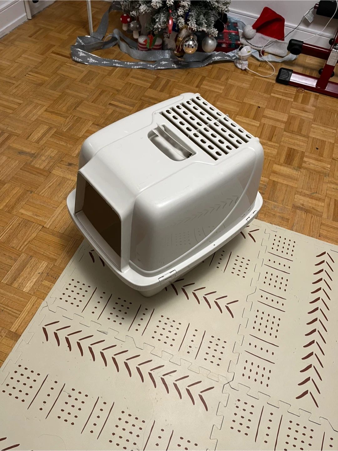 White Hooded Big Cat Box