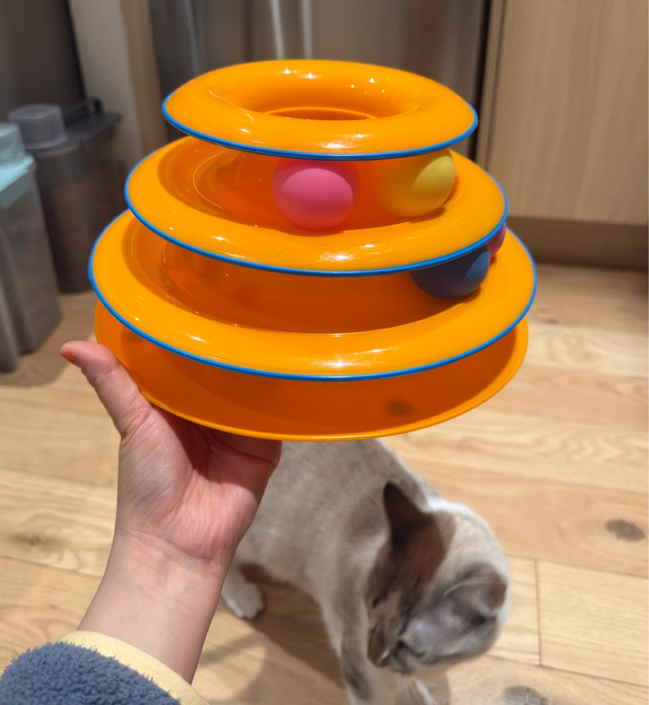 Orange Cat Toy