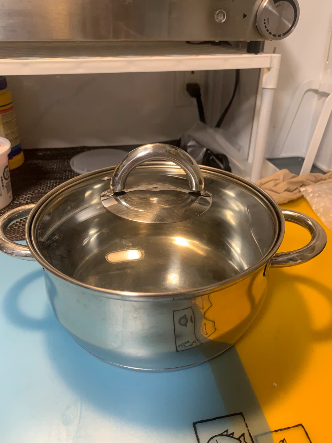 Stainless Steel Stock Pot with Lid 21cm