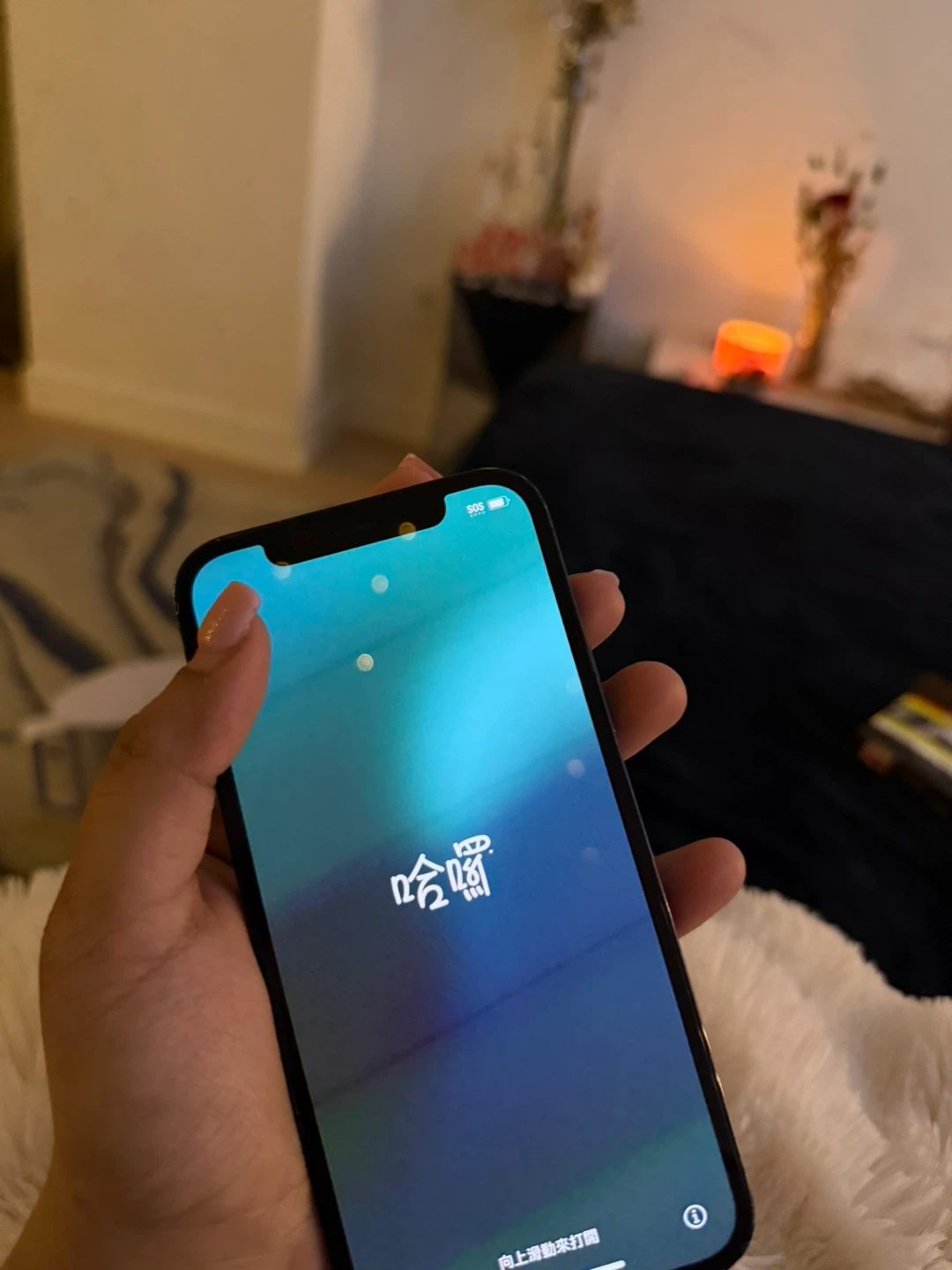Apple iPhone 12 Pro Max - photo 4