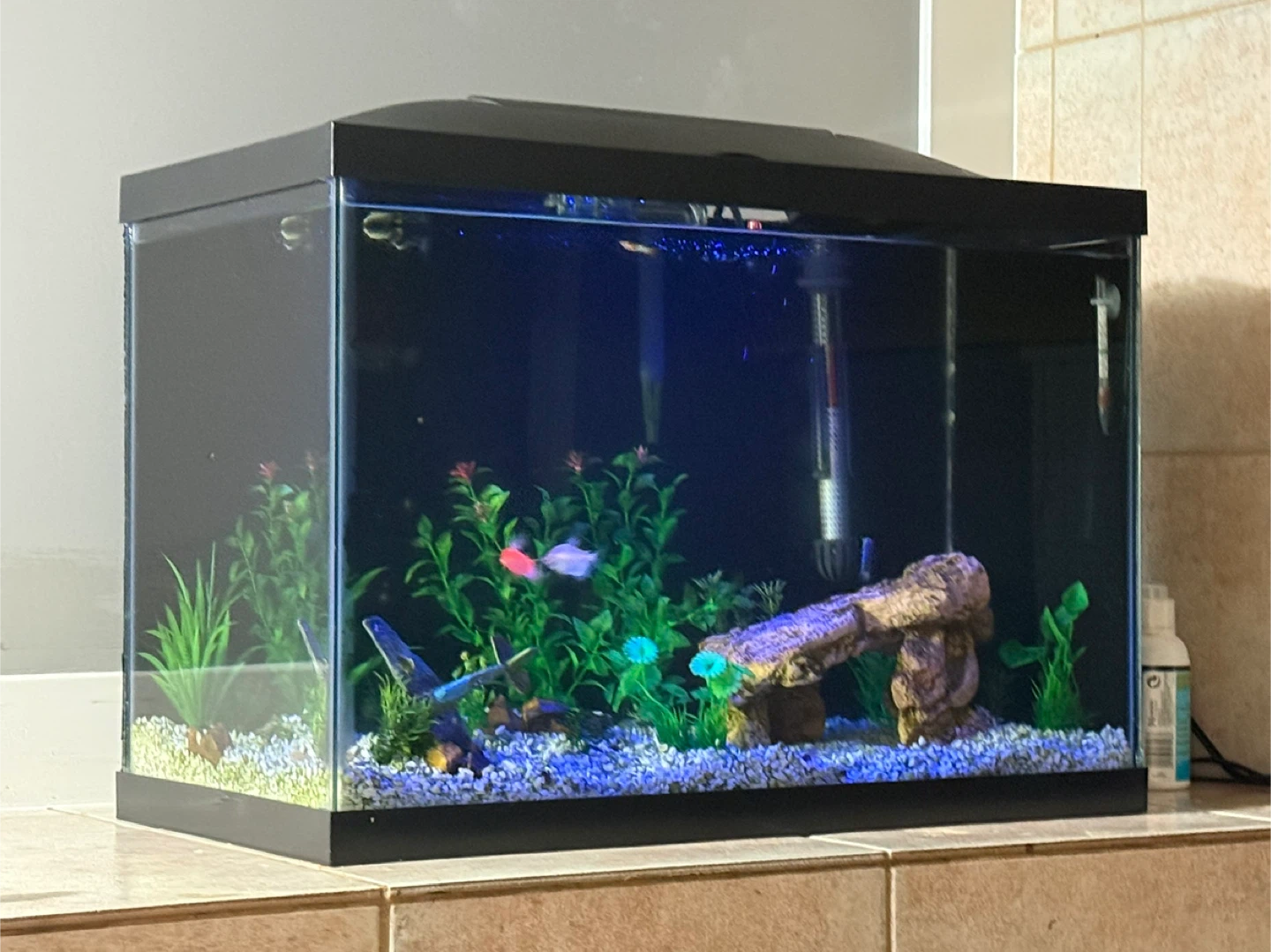 20 Gallon Aquarium FULL Setup – AquaClear 20, Heater, LED Light - photo 3