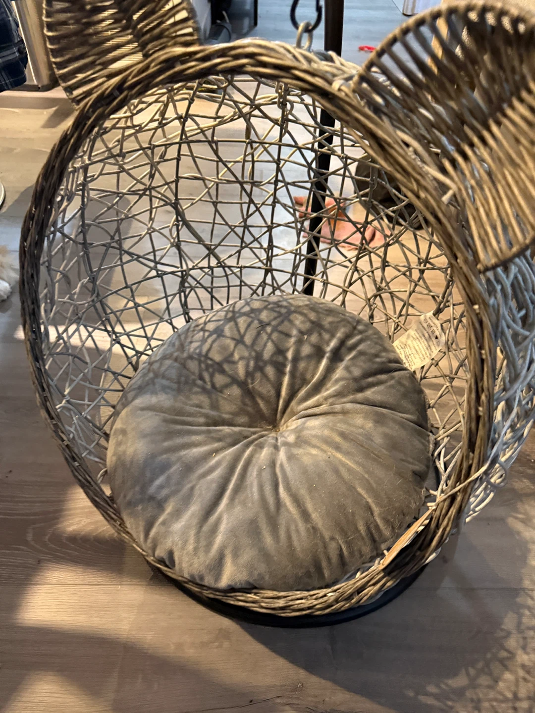 Anthurium Cat Egg Chair