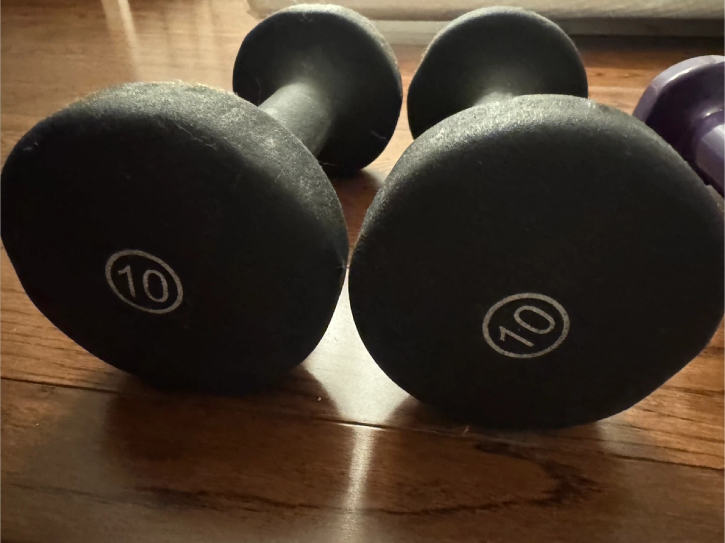 Pair of 10 lb Dumbbells