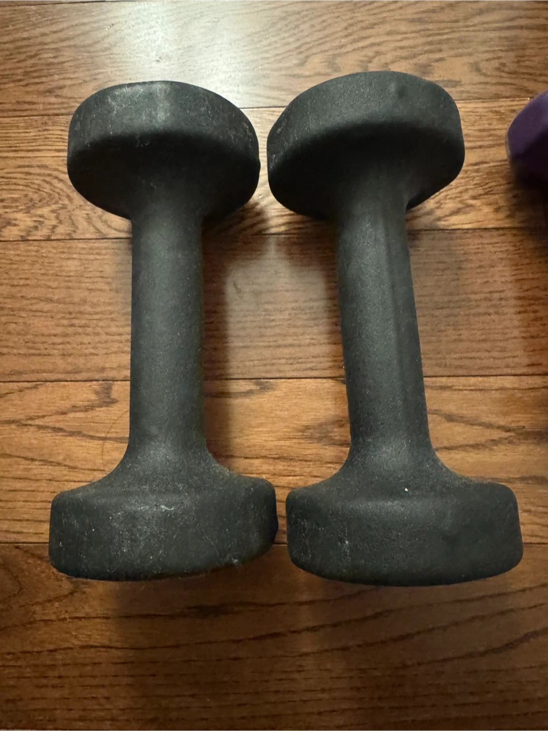 Pair of 10 lb Dumbbells - photo 2