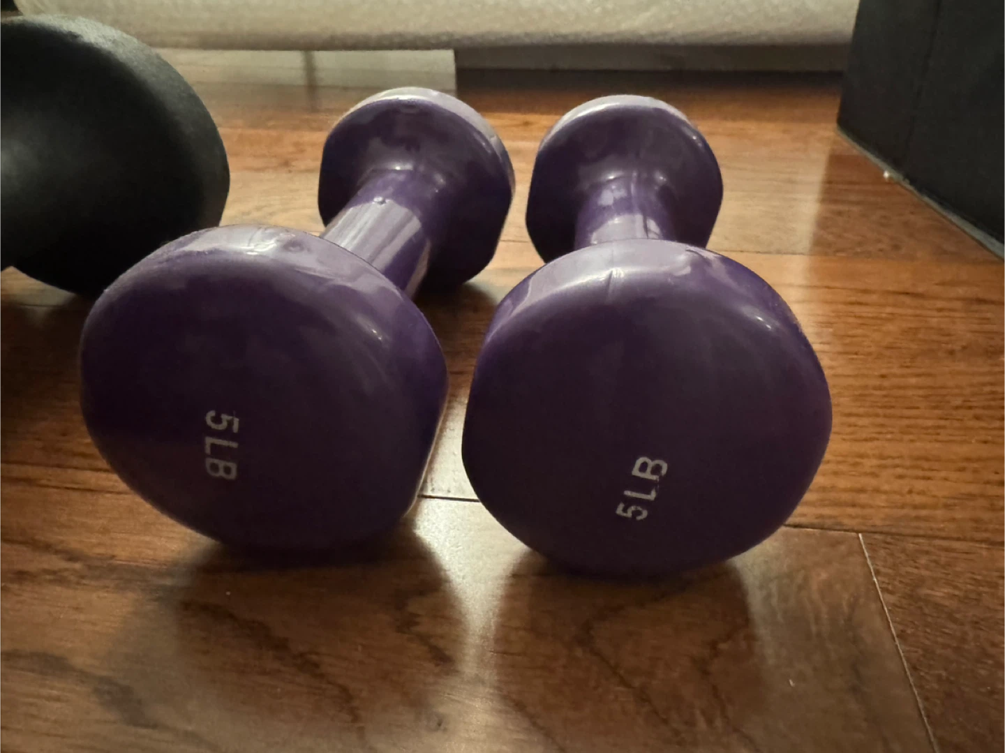 Pair of 5lb Purple Dumbbells
