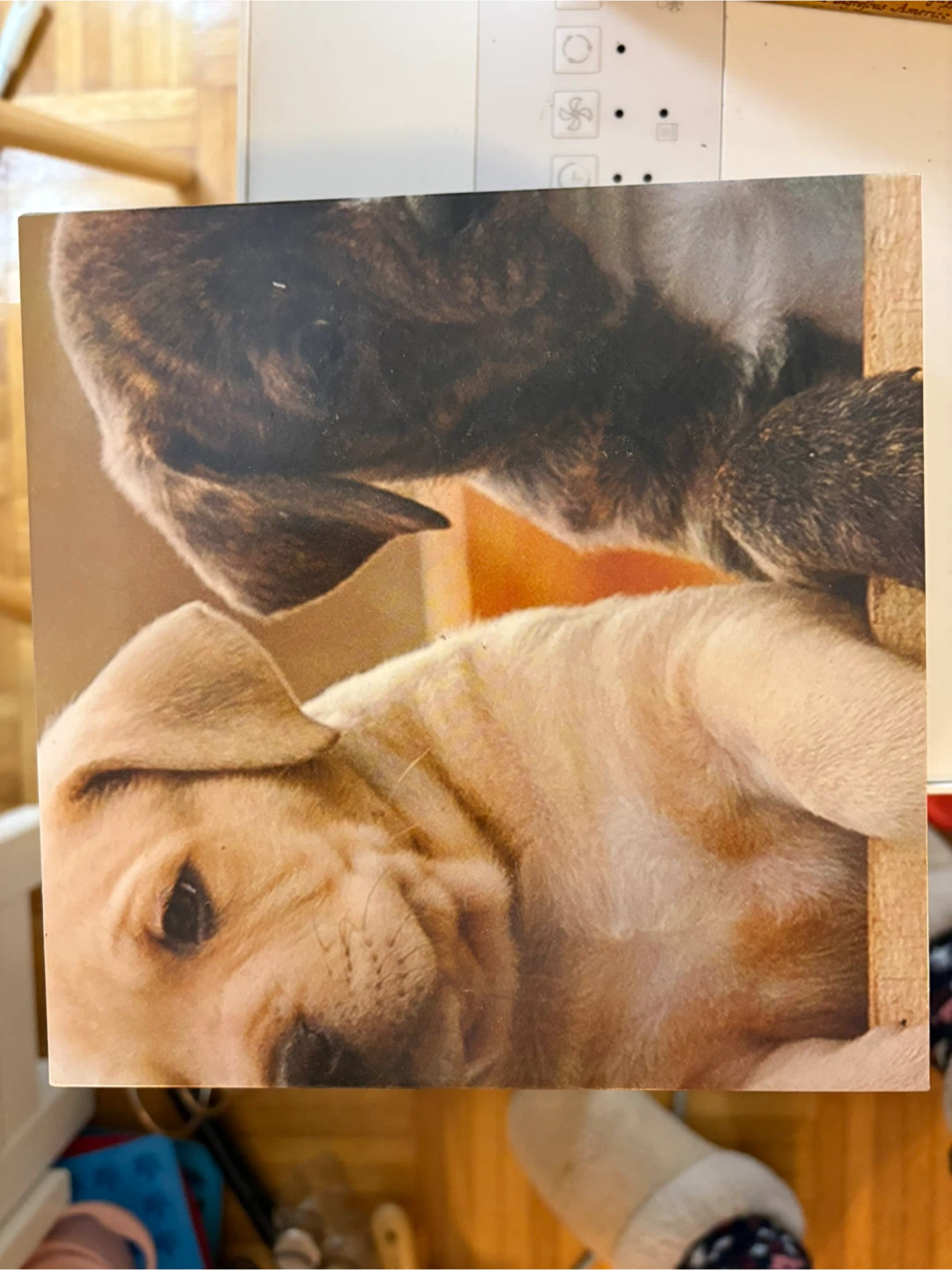 Puzzle - photo 2