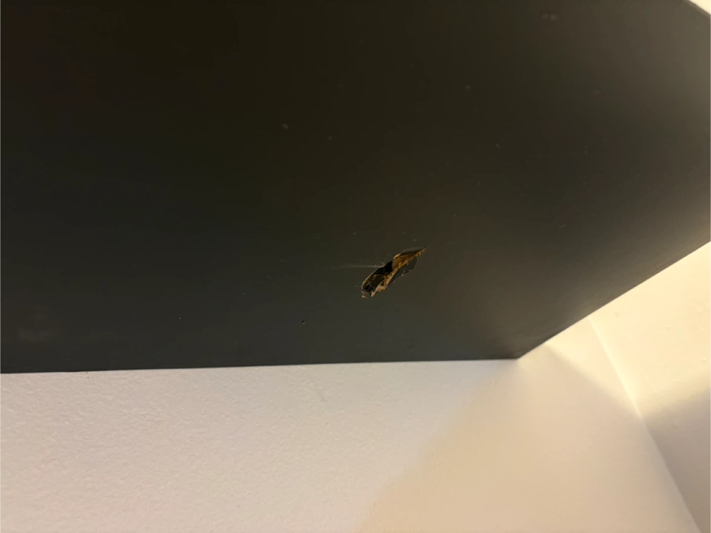 Ikea Floating Wall Shelves - Dark Brown - photo 5