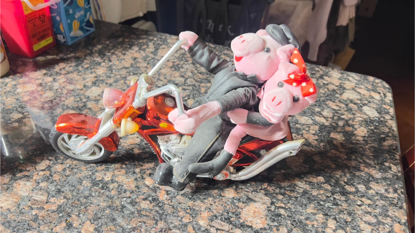 Vintage “Born to be wild” light up musical animated motorcycle - photo 2