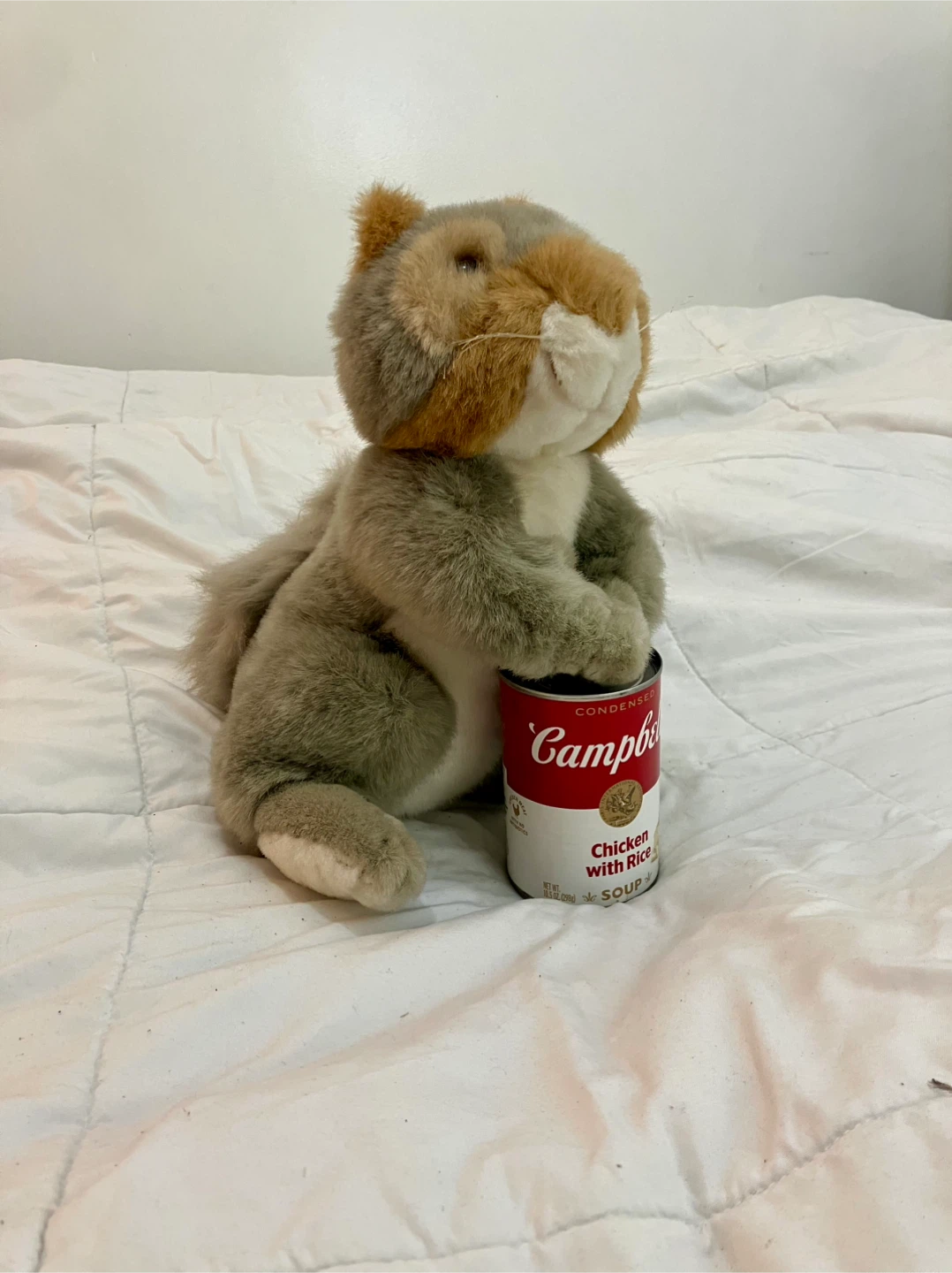 12” Vintage 1992 Ranger Rick Plush Squirrel - Like New - photo 3